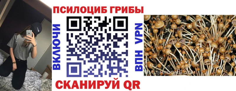 Галлюциногенные грибы прущие грибы  Питкяранта 